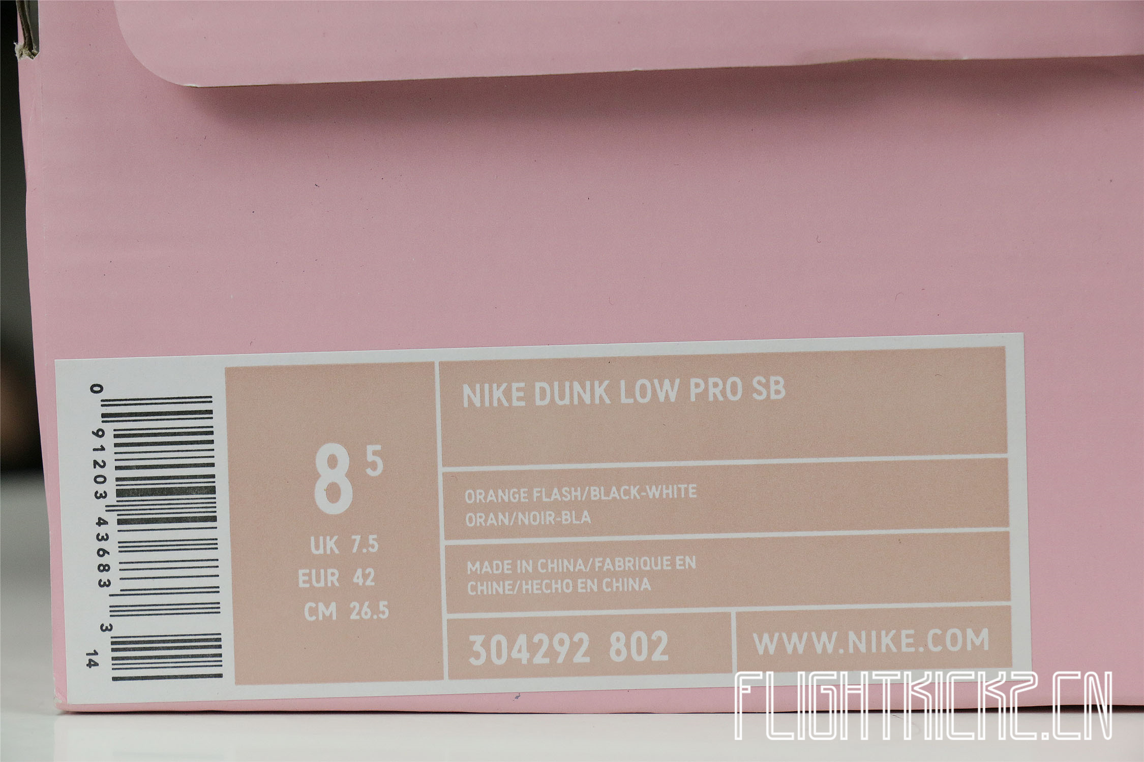 Nike SB Dunk Low Raygun White 2005(LN5 A1 Batch)