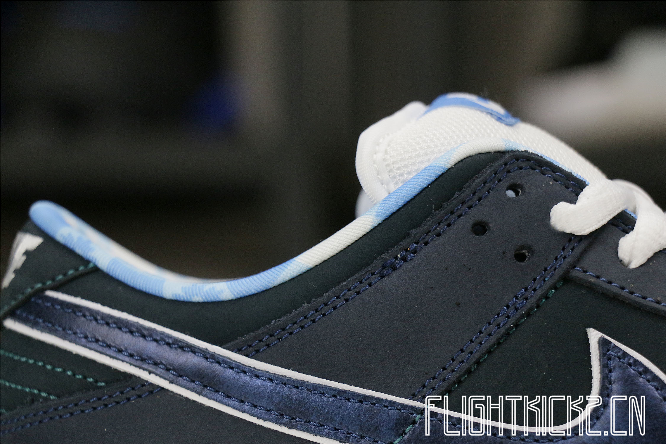 Nike Dunk SB Low Blue Lobster