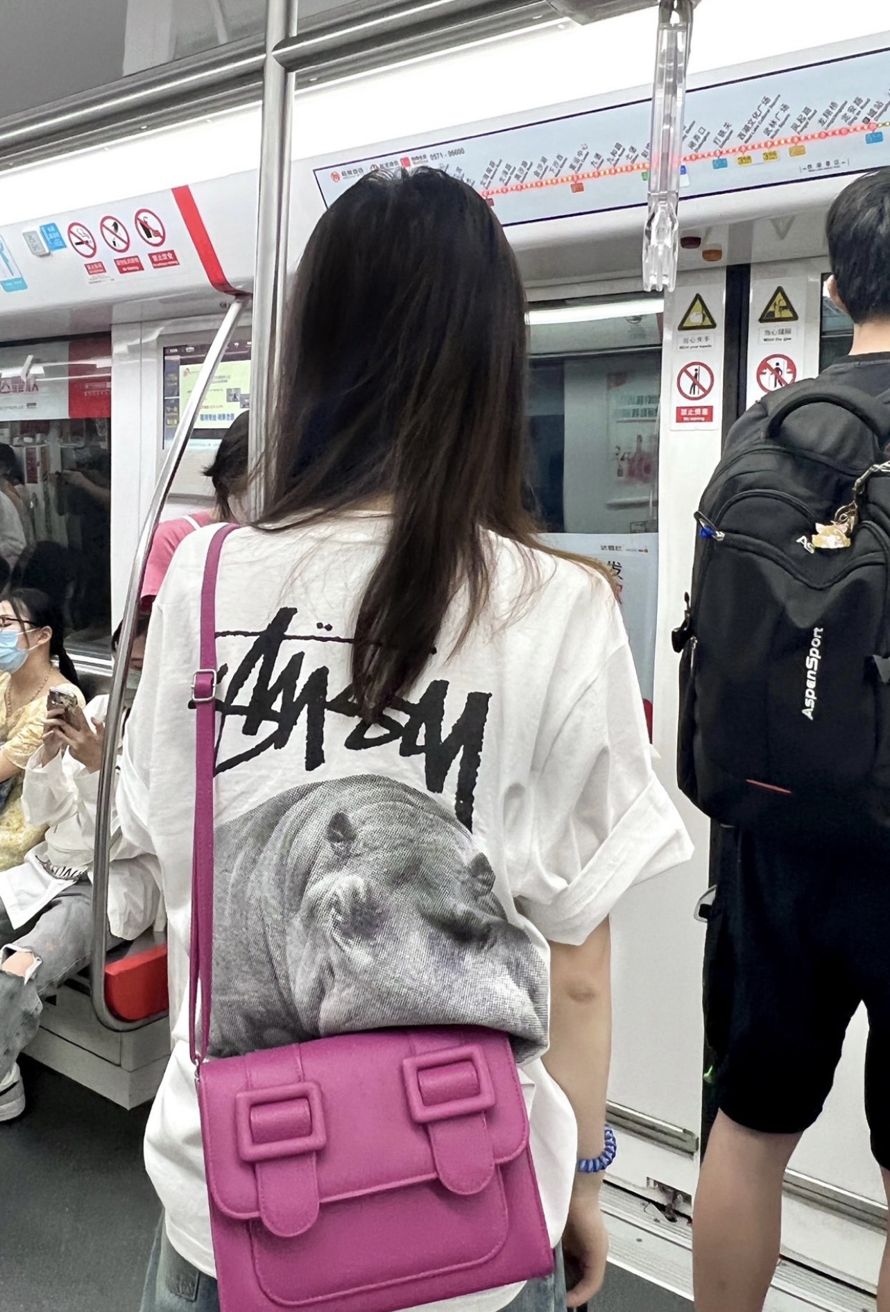 Stussy hippo print short sleeves