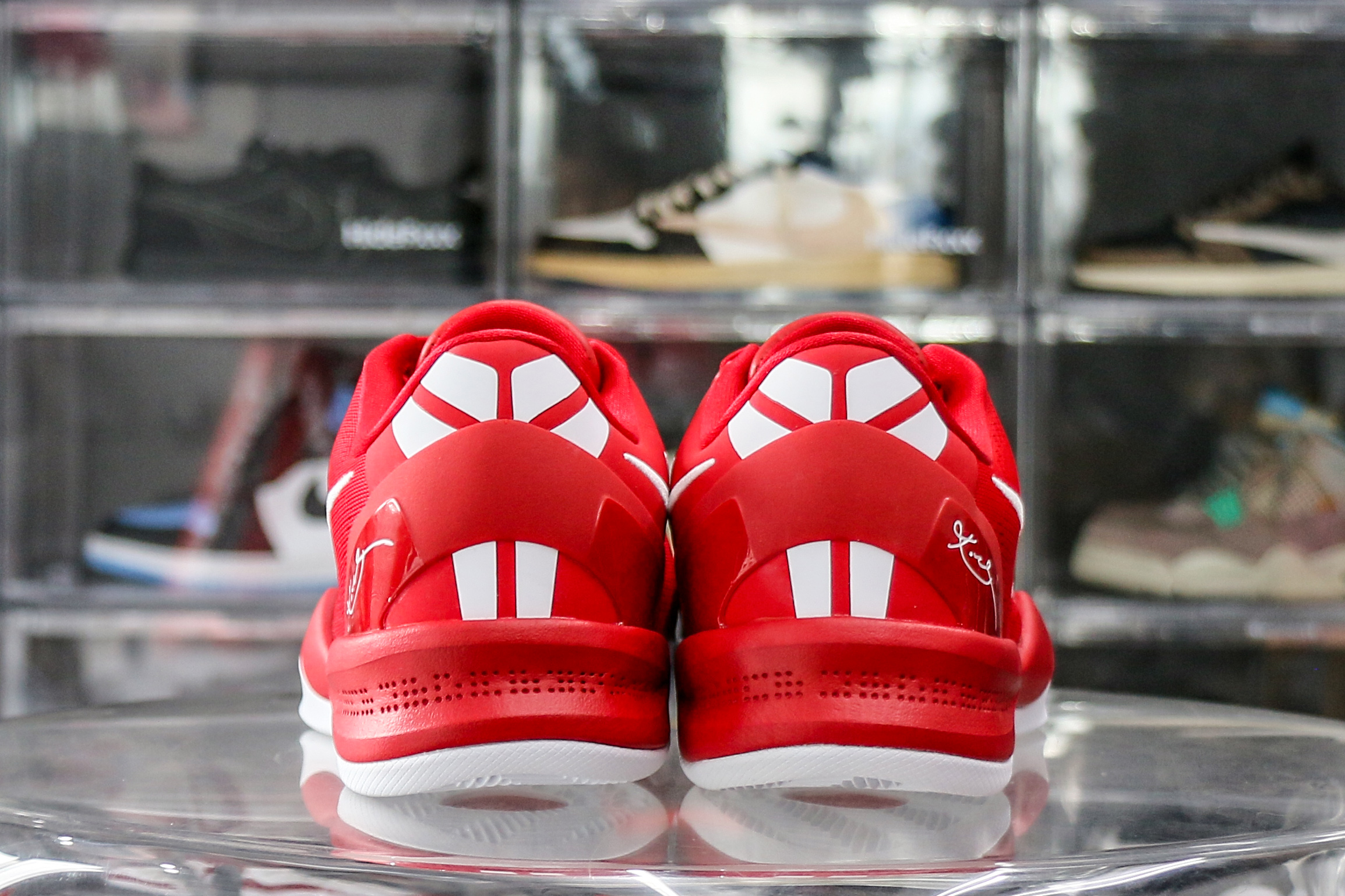 Nike Kobe 8 Protro University Red （2024）（Ln5 A1）